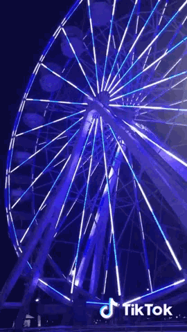 a blue ferris wheel with tiktok written on the bottom right corner