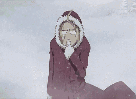 a person is standing in the snow wearing a coat with a hood .