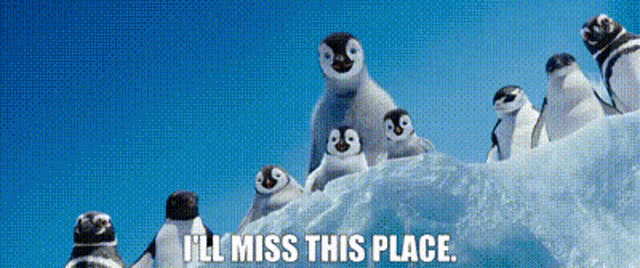 a group of penguins standing on top of a pile of snow with the words i 'll miss this place written below them .