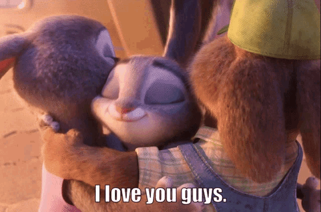 a couple of rabbits hugging with the words i love you guys