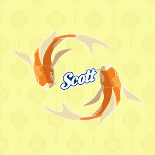 My Scott Cny Fish GIF - My Scott Cny Scott Cny Fish GIFs