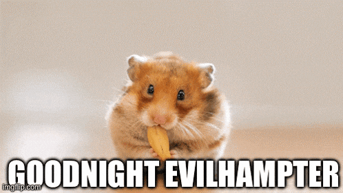 a picture of a hamster eating a piece of food with the caption " goodnight evilhampter "