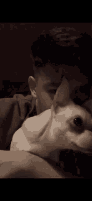 a man is kissing a small dog on the nose .