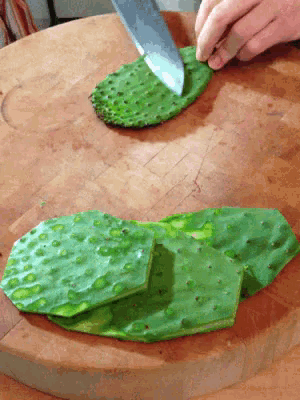 Nopal Cactus GIF - Nopal Prickly Pear Cactus GIFs