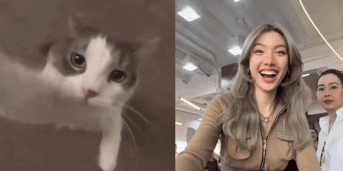 a cat and a woman are next to each other and the cat is looking at the camera