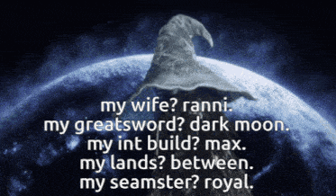 a picture of a wizard with the words my wife ranni my greatsword dark moon and my int build max