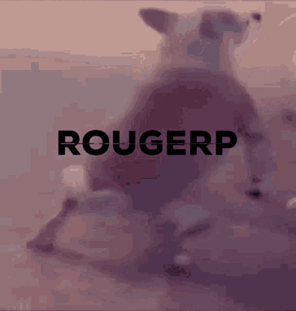 a blurred image of a dog with the word rougerp written above it