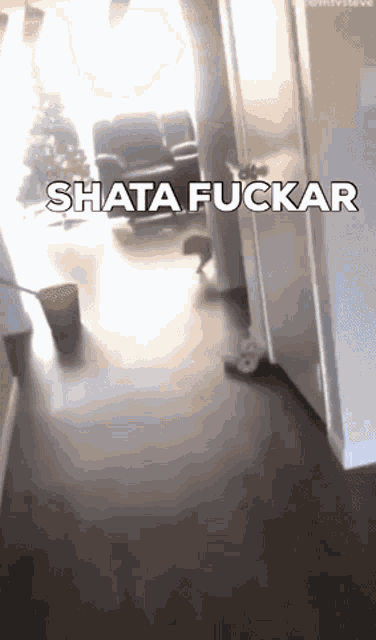 a dog is walking down a hallway with the words shasta fuckar written on the bottom