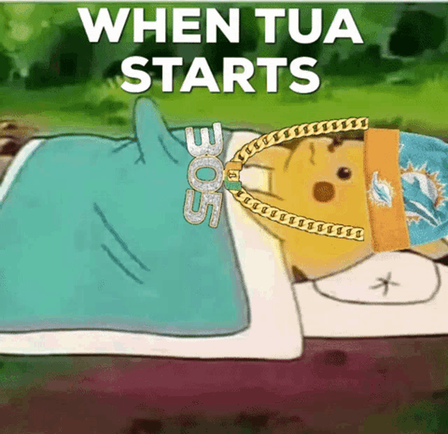 a cartoon of a dog wearing a miami dolphins hat and a soe chain