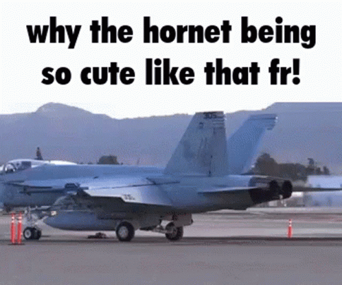 Hornet Cute GIF - Hornet Cute GIFs