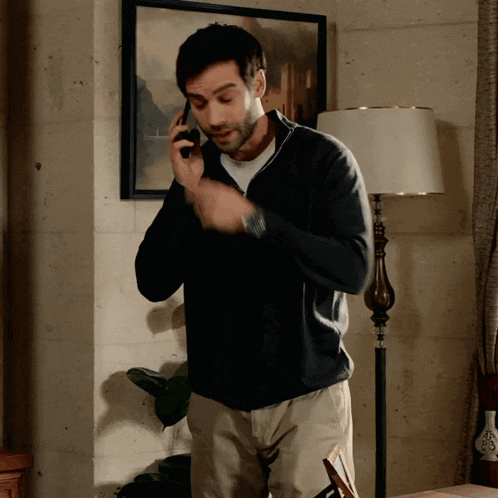 a man talking on a cell phone in front of a picture
