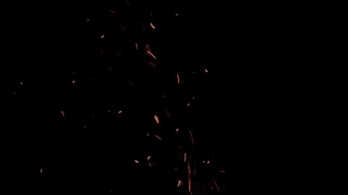 Fire Bonfire GIF