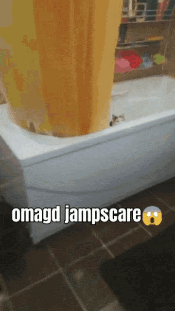 a picture of a cat in a bathtub with omagd jampscare written on it