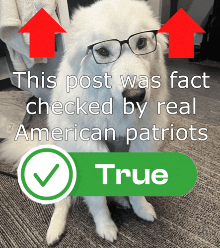a white dog wearing glasses is next to a green button that says " this post was fact checked by real american patriots "