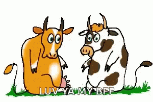 Cows Hug GIF - Cows Hug GIFs