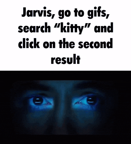 jarvis goes to gifs search " kitty " and click on the second result