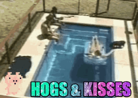 Bbvalentines Hogs And Kisses GIF - Bbvalentines Hogs And Kisses Pig Valentine GIFs