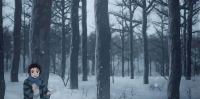 a boy standing in a snowy forest with trees covered in snow