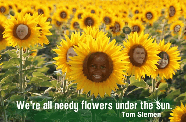 a field of sunflowers with people 's faces on them
