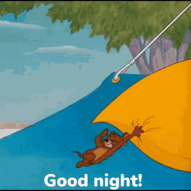 a cartoon of tom and jerry with the words good night written below them