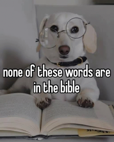 None Of These Words Are In The Bible GIF - None Of These Words Are In The Bible GIFs