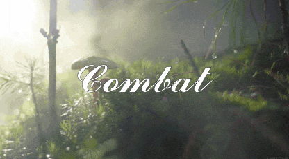 a picture of a forest with the word combat written on it