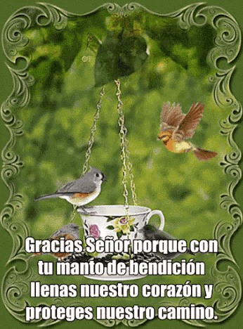 a picture of a bird feeder with the words gracias señor on it