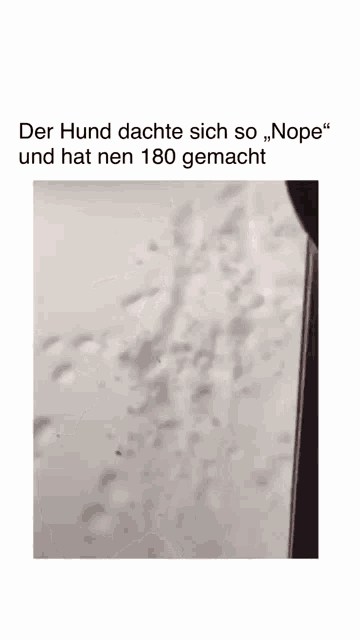 a blurred image of a wall with the words der hund dachte sich so nope and hat nen 180 gemacht .