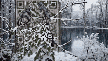 two birds perched on a snowy branch in front of a building