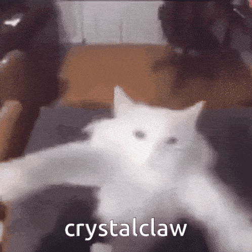 a white cat is laying on its back with the word crystalclaw written below it