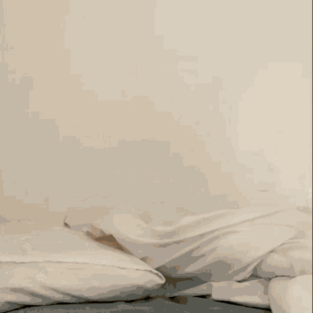 Bini Binijhoanna GIF