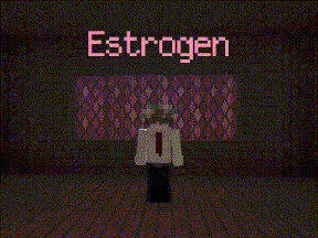 a minecraft character is standing in front of a wall with the word estrogen written on it
