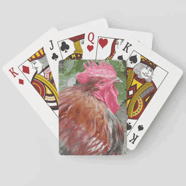 playing cards with a picture of a rooster on the back
