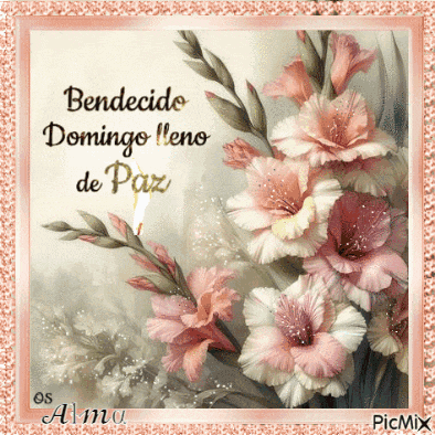 a greeting card with pink and white flowers says bendido domingo lleno de paz
