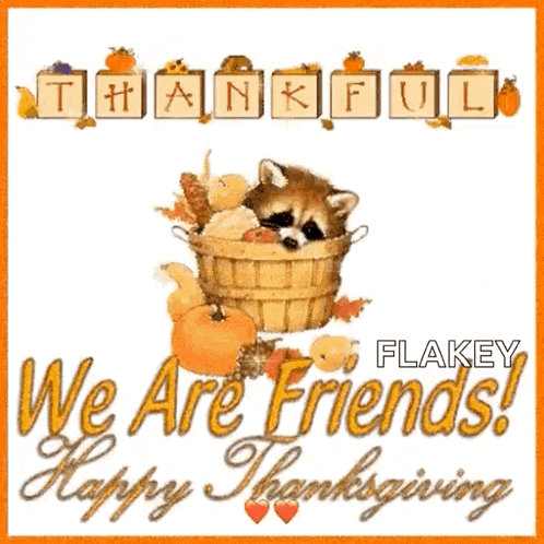 a picture of a raccoon in a basket with pumpkins and leaves says we are friends