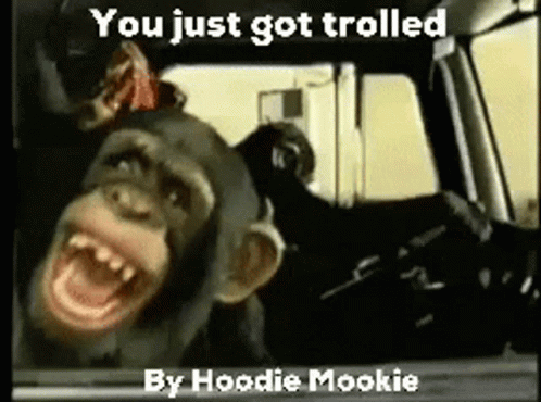 Hoodie Mookie GIF - Hoodie Mookie GIFs