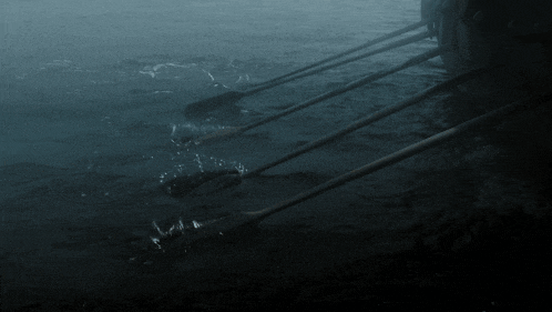 a row of oars are floating on the water