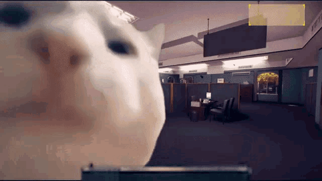 Cat Payday GIF - Cat Payday Payday2 GIFs