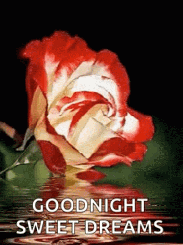 Goodnight Sweet Dreams GIF - Goodnight Sweet Dreams Flower GIFs