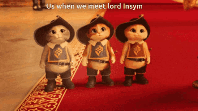 three stuffed cats are standing on a red carpet and the caption says us when we meet lord insym