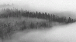 Neblina GIF - Neblina GIFs