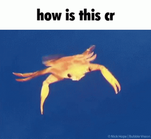 How Is This Cr How Is This Crab GIF - How Is This Cr How Is This Crab Crab GIFs