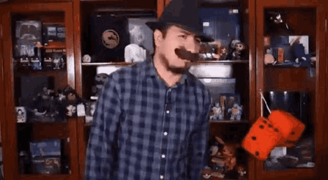 a man wearing a hat and plaid shirt is standing in front of a shelf holding a dice .