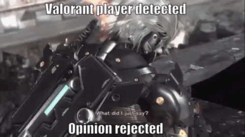 Valorant Meme Opinion Rejected GIF - Valorant Meme Opinion Rejected Metal Gear Rising GIFs