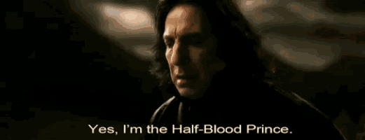 a man in a black jacket says yes , i 'm the half-blood prince