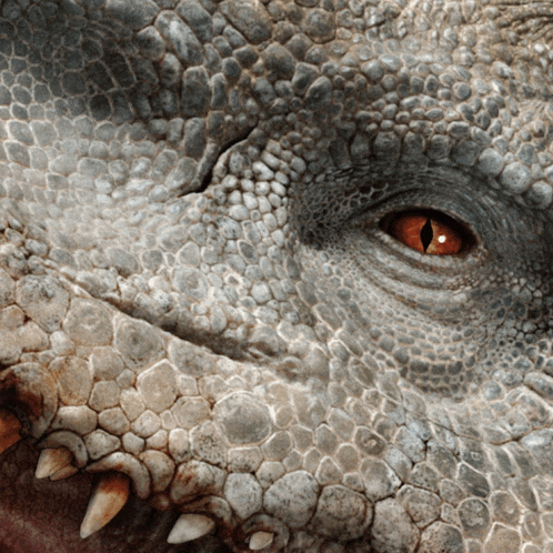 a close up of a lizard 's eye with a few teeth showing