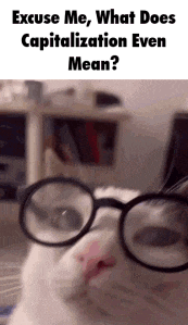 a white cat wearing glasses is asking what does capitalization even mean .