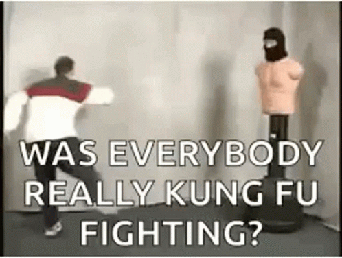 Kick Kung Fu GIF - Kick Kung Fu Fighting GIFs