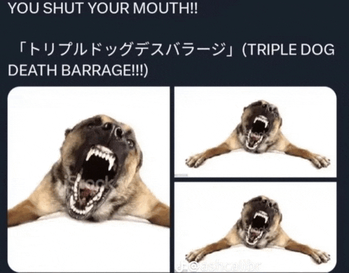 a picture of a dog with its mouth open and the caption " you shut your mouth !!! "
