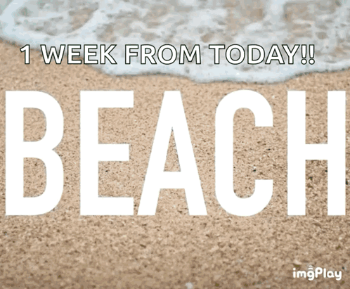 Beach Day Beach GIF - Beach Day Beach Vacation GIFs